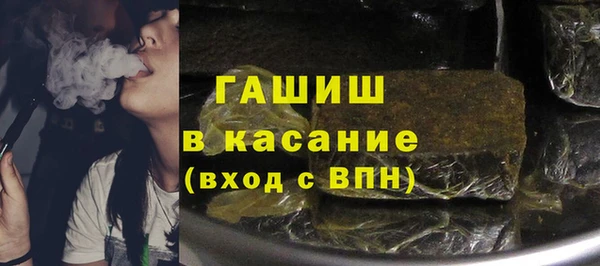 стафф Касимов
