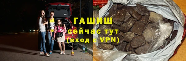 стафф Касимов