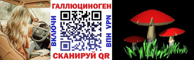 Купить закладки  Нытва  Псилоцибиновые грибы Magic Shrooms 